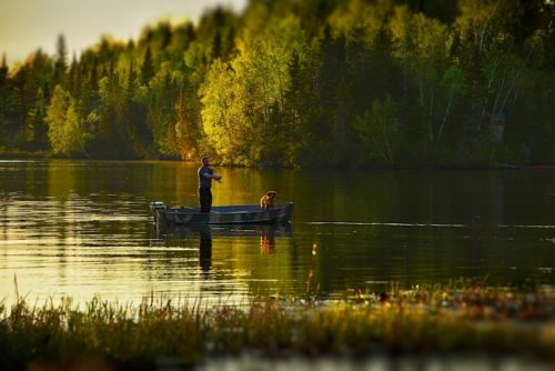 Urlaub mit Hund in Schweden, Ferienhausurlaub mit Hund in Schweden